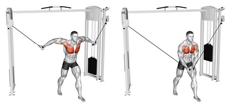 Cable fly - Learning how to do a Cable Chest Fly properly is very important when performing a chest workout. This bodybuilding style training exercise helps build muscle...